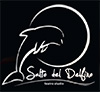 Il Salto del Delfino Teatro - Studio